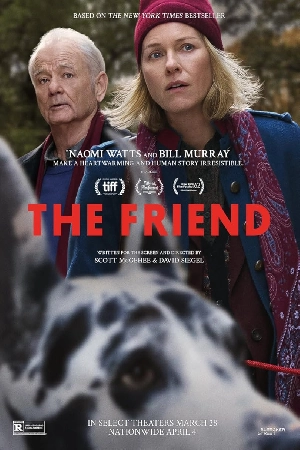 مشاهدة و تحميل فيلم The Friend مشاهدة و تحميل فيلم The Friend